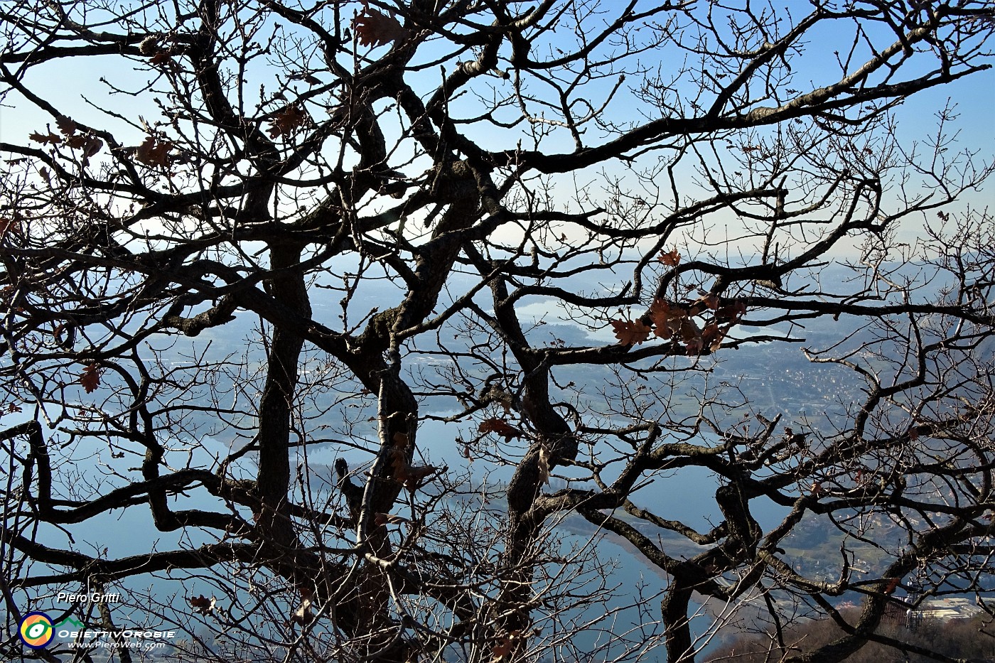 66 Oltre la quercia i laghi briantei.JPG